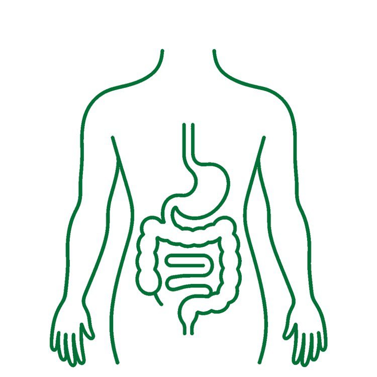Digestive Disorders Acupuncture - Markham
